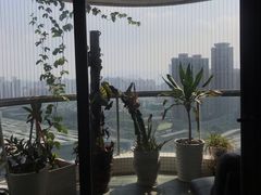 -乐尚音乐空间·钢琴·声乐·架子鼓(会展中心店)