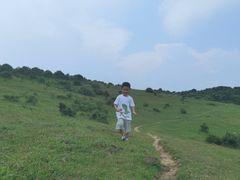 -大姆山草场