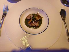 -迪拜帆船酒店海底餐厅