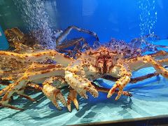 -阿伟海鲜楼·福建菜(延寿店)