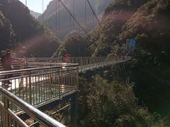 -宁波五龙潭景区