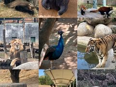 -泉州海丝野生动物世界