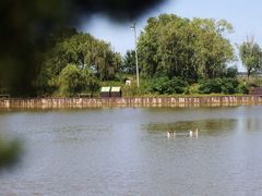 -盐城丹顶鹤湿地生态旅游区