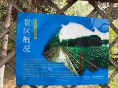 -白渔泡湿地公园