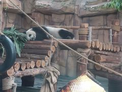 -泉州海丝野生动物世界