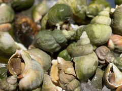 -上海东方佘山翰悦阁酒店·Vie全日制餐厅