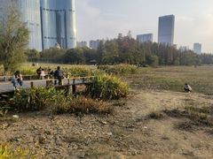 -艾溪湖湿地公园