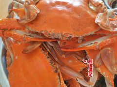 -老板恋上鱼(振华商厦店)