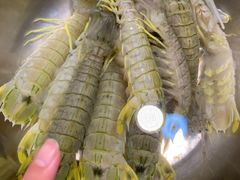-聂记粤菜馆(鼓西路店)