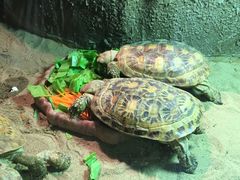 -皇家极地海洋世界-售票处