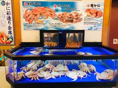 -蟹道乐(道顿堀本店)