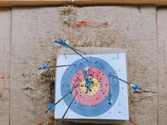 -道顺射箭·团建·骑射(张杨路店)