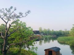 -养云安缦·廊