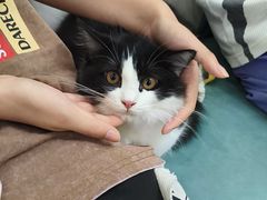 -博特宠物医院24h犬猫全科.骨科·异宠