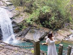 -九龙江国家森林公园