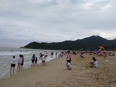 -西涌国际滨海旅游区