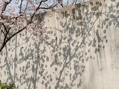 -静安雕塑公园