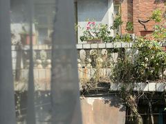 -巴浪鱼咖啡馆 Local Fish