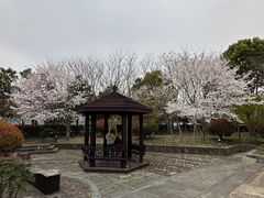 -鸣鹤古镇