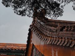 -故宫博物院(故宫)