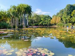 -中国科学院西双版纳热带植物园