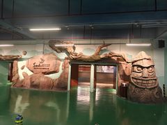 -杭州开元森泊度假乐园