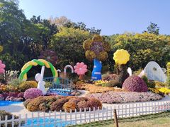 -上海共青森林公园