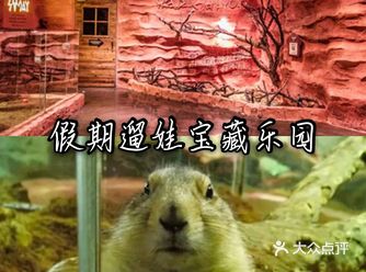 假期到了，小朋友一定很心动了，既然小朋友这么期待