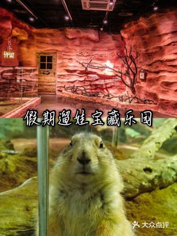 假期到了，小朋友一定很心动了，既然小朋友这么期待