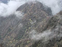 -塔云山