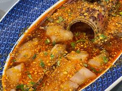 -大浪潮·潮汕菜·招牌生腌小青龙(福田店)