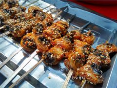 -迎燕阁烤羊腿(二环南路店)