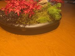 -鸽子窝(青塔店)