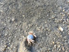 -北海金海湾红树林生态旅游区