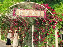 -太阳宫公园