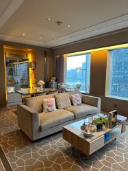 -巍阁高端月子会所