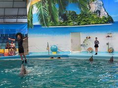 -尼莫海豚馆