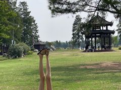 -东湖落雁景区