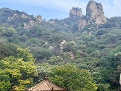 -大岭沟猕猴桃谷风景区