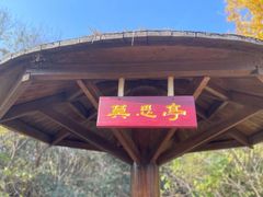 -南京市无想山景区