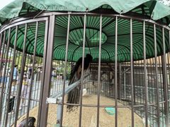 -珠海海泉湾神秘岛亲子乐园