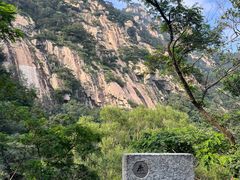 -泰山风景名胜区