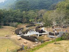 -黄埔油麻山森林公园