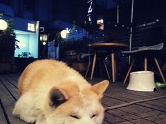 -久馆NineHouse