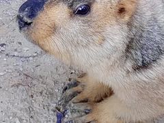 -云南野生动物园