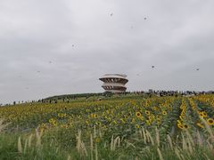 -光明小镇欢乐田园