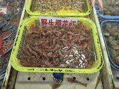 -大湾区中央湿地公园