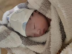 -杭州贝瑞斯美华妇儿医院·早孕·产检·儿科