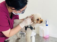 -美联众合动物医院·24h京西诊疗中心