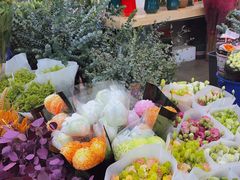 -双季花艺园艺市场(浦东店)